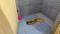 Sector-48, Seawoods Bathroom 1