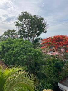 Image of 2647 Sq.ft 3 BHK Apartment / Flat for sale in Panjim, Goa for Rs. 51000000