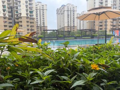 Image of 1084 Sq.ft 3 BHK Apartment / Flat for rent in Eros Sampoornam 2, Noida Extension, Greater Noida for Rs. 28000