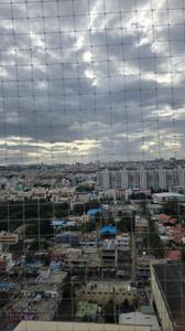 Image of 1650 Sq.ft 3 BHK Apartment / Flat for sale in Sattva Greenage, Hongasandra, Bengaluru for Rs. 31000000