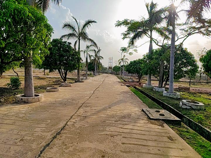 Bhauri Main Image 1