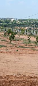 Image of 121 Sq.ft Residential Plot / Land for sale in Keesara, Secunderabad for Rs. 786500