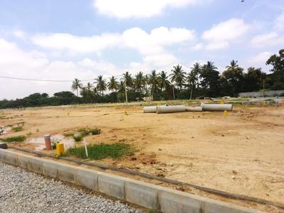 Residential Plot