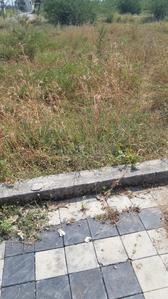 New Rani Bagh Khandwa road Plot View 2