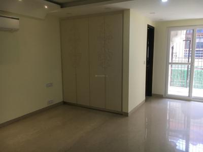 Hall Image of 2250 Sq.ft 3 BHK Builder Floor for rent in Green Park New Delhi for Rs. 117500