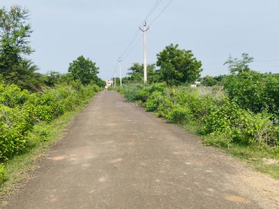 Image of 2700 Sq.ft Residential Plot / Land for sale in Diwancheruvu, Rajahmundry for Rs. 1110000