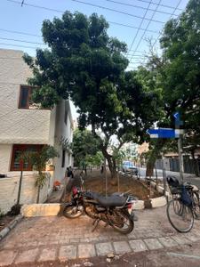 Image of 2400 Sq.ft 3 BHK Independent House for sale in Sector 59, Mohali for Rs. 62500000