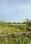 Chakeri Main Image 1