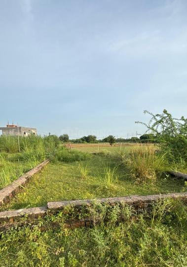 Chakeri Main Image 1