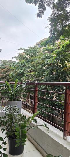 Goel Ganga Sampatti Main Image 1