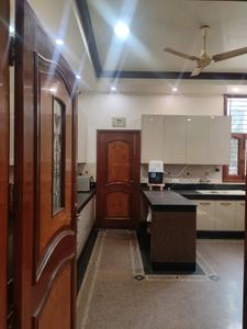 Kitchen One Image of 6900 Sq.ft 5 BHK Independent House for sale in Sector 15A Noida for Rs. 195000000
