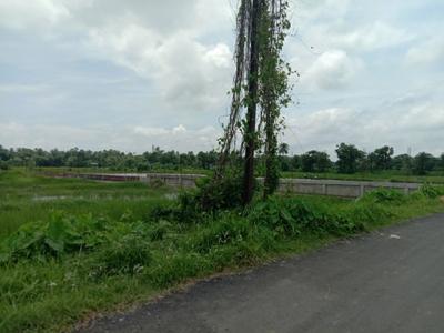 A P Nagar Plot View 3