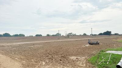 Image of 1450 Sq.ft Residential Plot / Land for sale in Jait, Vrindavan for Rs. 7500000