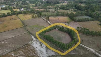 Biharigarh Plot View 2