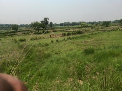 Image of 5300 Sq.ft Residential Plot / Land for sale in Similipada, Angul for Rs. 7000000