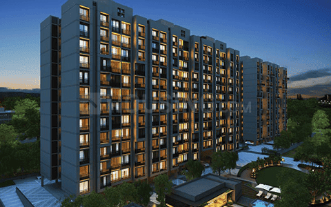 Orchid Paradise Main Image 1