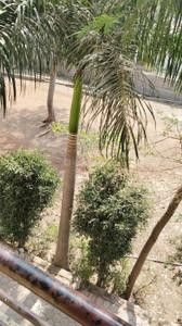 Balcony Image of 871 Sq.ft 2 BHK Apartment / Flat for sale in Landmark Anand Heritage, Bhicholi Mardana Indore for Rs. 1700000