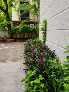 Image of 6500 Sq.ft 6 BHK Independent House for sale in Chetpet, Chennai for Rs. 300000000