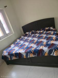 Bedroom Image of 1169 Sq.ft 3 BHK Apartment / Flat for sale in Jaypee Kosmos, Sector 134 Noida for Rs. 11500000