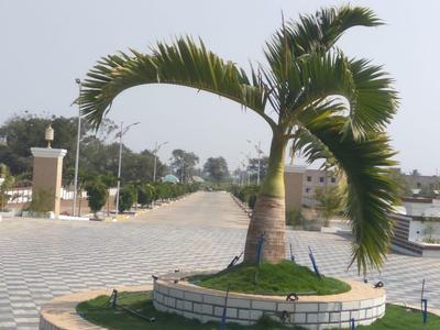Image of 1620 Sq.ft Residential Plot / Land for sale in Viman Nagar, Pune for Rs. 1134000