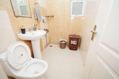 Image of 1156 Sq.ft 2 BHK Apartment / Flat for sale in RG Residency, Sector 120, Noida for Rs. 11800000