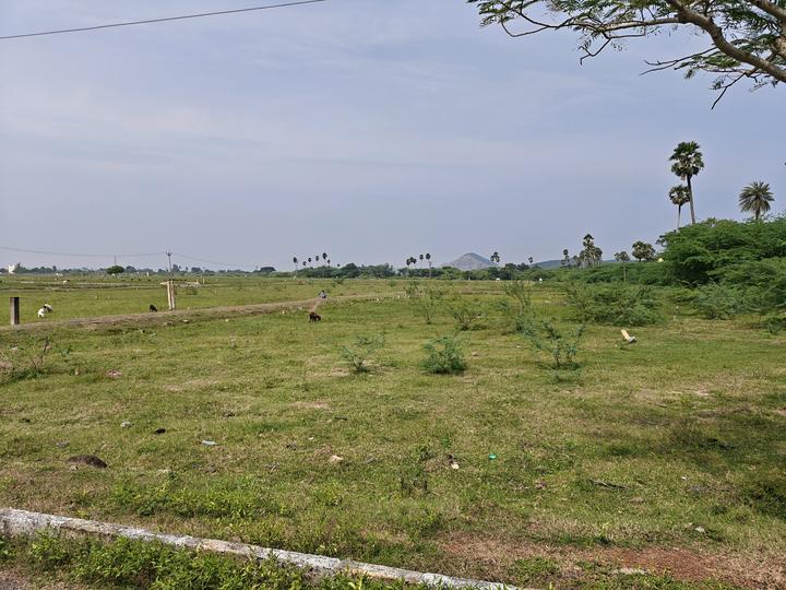 Singaperumal Koil Main Image 1