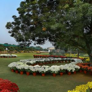 Image of 1210 Sq.ft 3 BHK Builder Floor for sale in Central Flamingo Floors, Sector 32, Sohna for Rs. 12100000