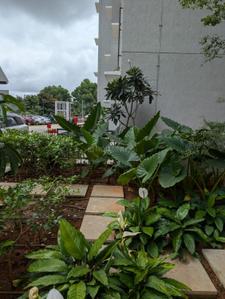 Image of 1332 Sq.ft 3 BHK Apartment / Flat for sale in Purva Zenium 2, Hosahalli, Bengaluru for Rs. 15000000