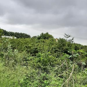 Image of 4000 Sq.ft Residential Plot / Land for sale in Singanayakanahalli, Bengaluru for Rs. 8000000