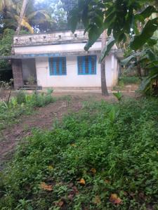 Image of 1000 Sq.ft 2 BHK Independent House for sale in Thrippunithura, Kochi for Rs. 14500000