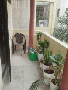 Balcony Image of 1000 Sq.ft 2 BHK Builder Floor for rent in Sector 56 Gurgaon for Rs. 38000