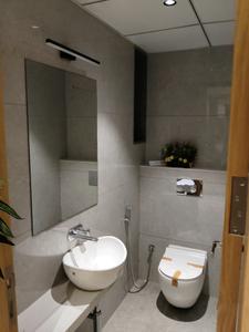 Common Bathroom Image of 3868 Sq.ft 4 BHK Apartment / Flat for sale in Shaligram Luxuria, Ambli Ahmedabad for Rs. 33600000