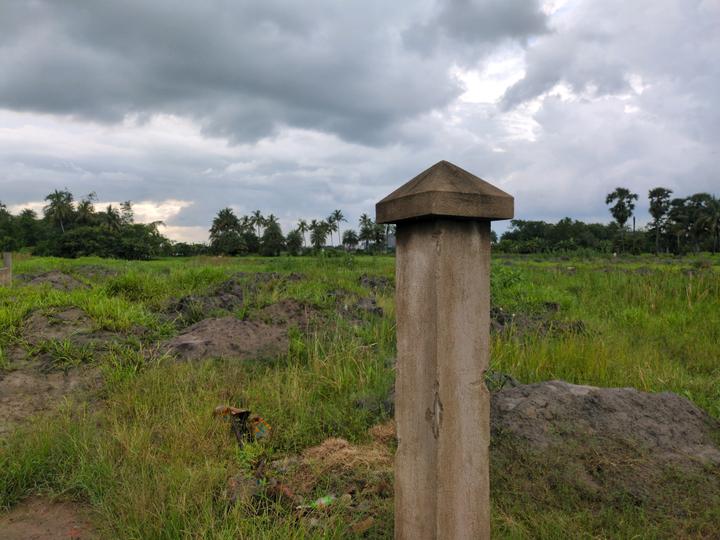 Diamond Park Main Image 1