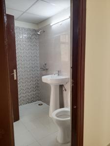 Bathroom Image of 1301 Sq.ft 3 BHK Apartment / Flat for rent in Amrapali Verona Heights, Noida Extension Greater Noida for Rs. 21000