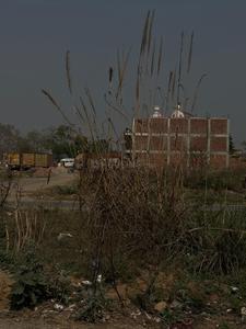 Sector 25 YEIDA Plot View 3