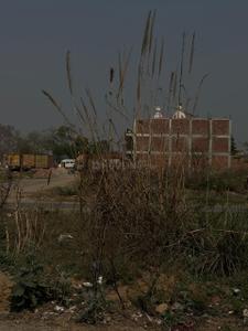 Image of 2000 Sq.ft Residential Plot / Land for sale in XU III, Greater Noida for Rs. 18500000