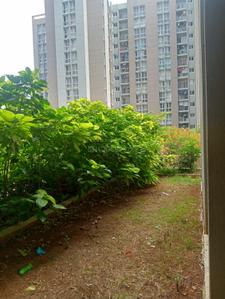 Image of 1349 Sq.ft 3 BHK Apartment / Flat for sale in 63 DEGREE EAST, Chikkakannalli, Bengaluru for Rs. 16500000