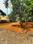 Ollukkara Plot View 2