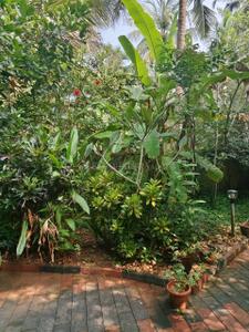 Image of 11000 Sq.ft 5 BHK Independent House for sale in Palazhi, Kozhikode for Rs. 80000000