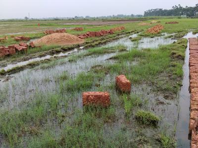 Image of 1500 Sq.ft Residential Plot / Land for sale in Benupur, Bhubaneswar for Rs. 3450000
