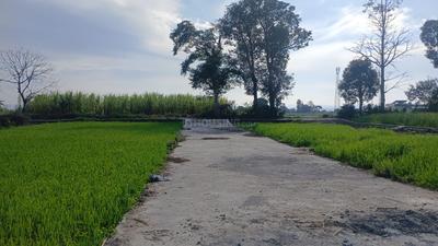 Image of 100 Sq.ft Residential Plot / Land for sale in Doiwala, Dehradun for Rs. 2700000