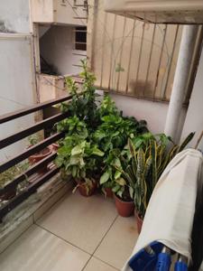 Balcony Image of 850 Sq.ft 2 BHK Builder Floor for sale in Ansal Chiranjiv Vihar, Shastri Nagar Ghaziabad for Rs. 3800000