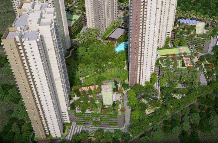 Alembic Urban Forest Main Image 1