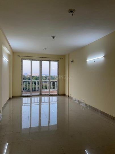 Golden Tone Golden Tones Property Details Video 1