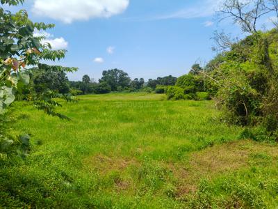 Image of 126324 Sq.ft Residential Plot / Land for sale in Vamanjoor, Mangalore for Rs. 53650000