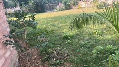 Image of 4950 Sq.ft 2 BHK Villa for sale in Kolat, Ahmedabad for Rs. 60000000