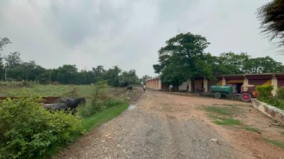 Image of 1560 Sq.ft Residential Plot / Land for sale in Safedabad, Lucknow for Rs. 3900000