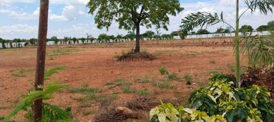 Image of 1200 Sq.ft Residential Plot / Land for sale in Tata Nagar, Tirupathi for Rs. 1800000
