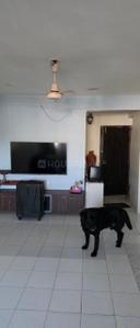 Hall Image of 718 Sq.ft 2 BHK Apartment / Flat for sale in Tulip Citadel, Ayojan Nagar Ahmedabad for Rs. 7700000