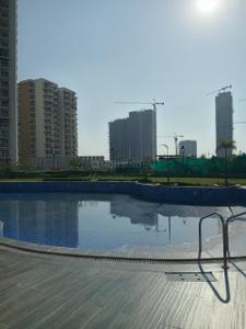 Image of 1350 Sq.ft 3 BHK Apartment / Flat for rent in Hero Homes, Sector 88, Mohali for Rs. 46000